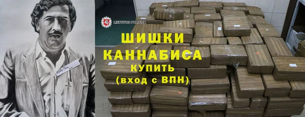 сатива Новодвинск
