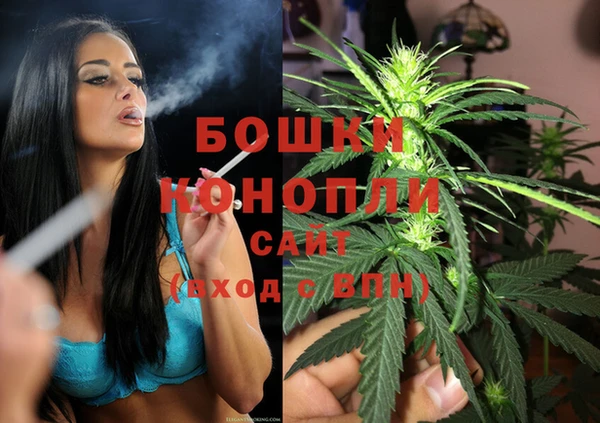 сатива Новодвинск