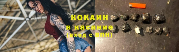 сатива Новодвинск