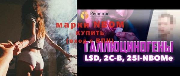 сатива Новодвинск