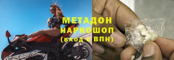 сатива Новодвинск