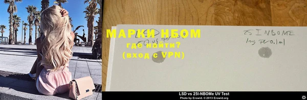 сатива Новодвинск