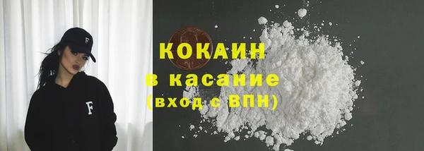 сатива Новодвинск