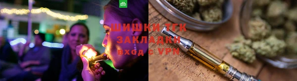 сатива Новодвинск