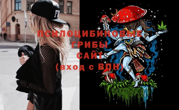 apvp Билибино