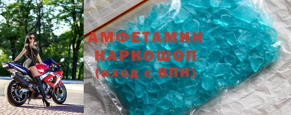 сатива Новодвинск