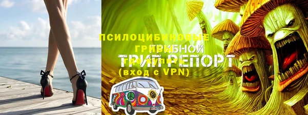 сатива Новодвинск