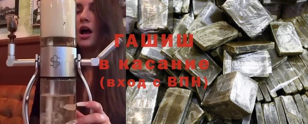 сатива Новодвинск